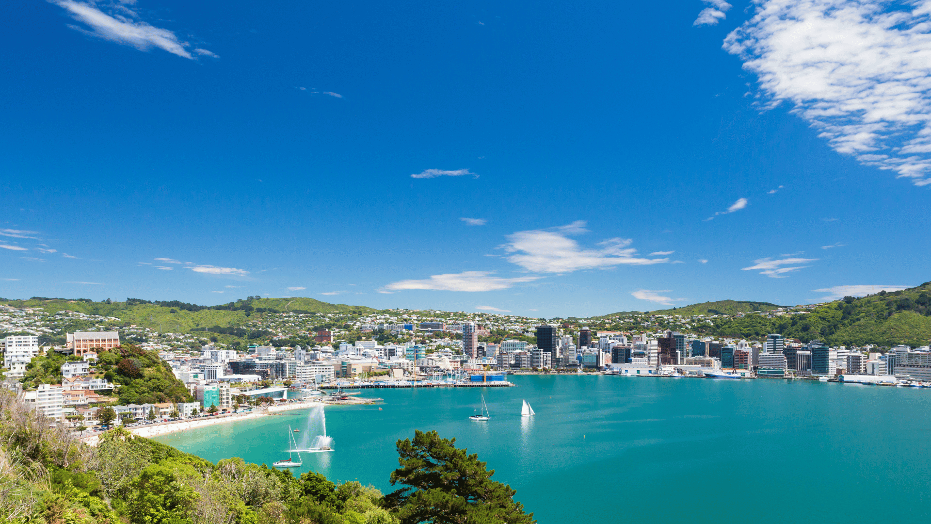 Things To See And Do In Wellington New Zealand